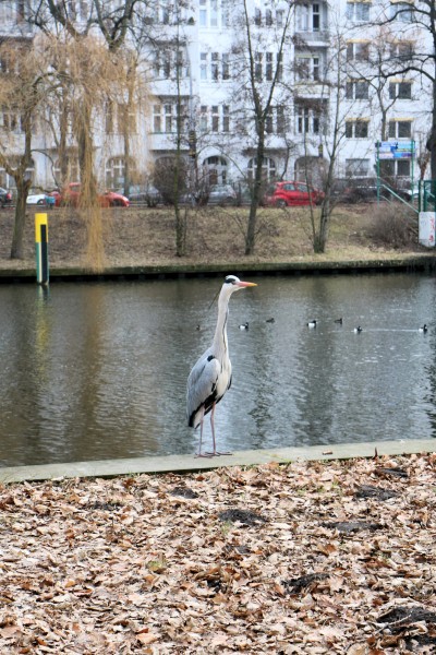Spree