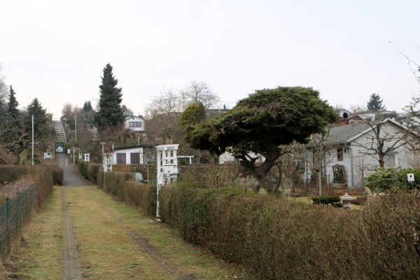 Kleingärten Ruhwaldweg