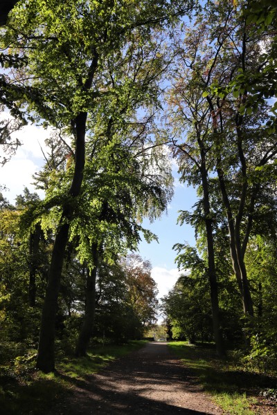 Ruhwaldpark