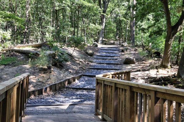 Waldweg