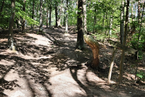 Waldweg