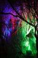 Lasergarten