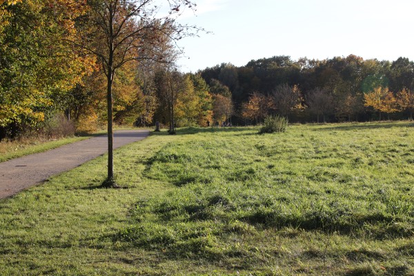 Wuhletalweg