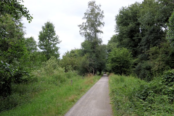 Waldweg