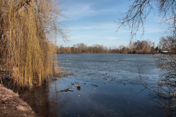 Blankenburger Karpfenteiche
