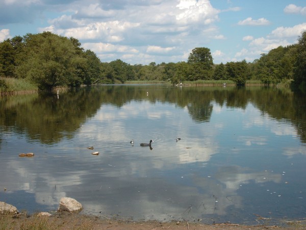 Köppchensee