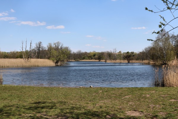 Köppchensee