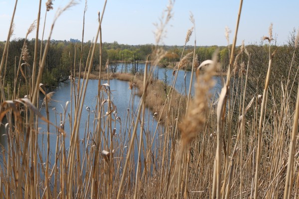 Köppchensee