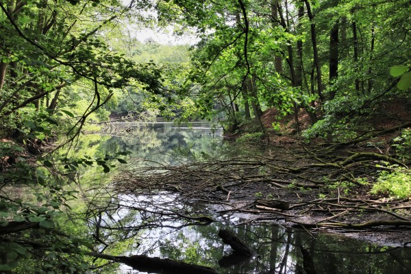 Hubertussee