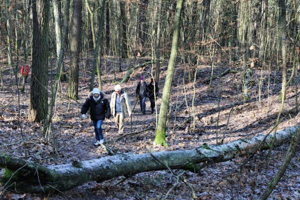 Sturmschaden