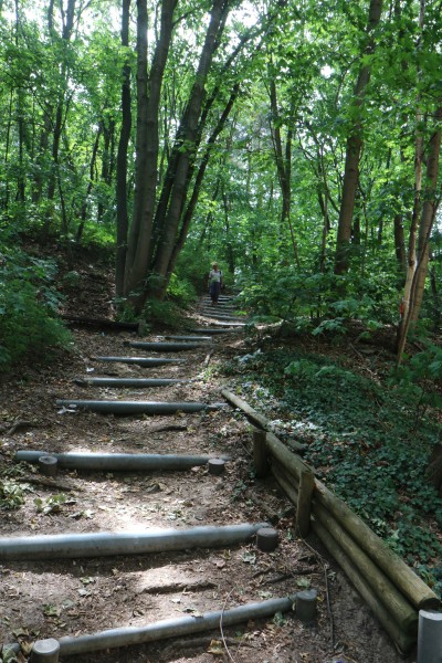 Waldweg