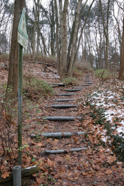 Waldweg