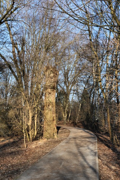 Wanderweg