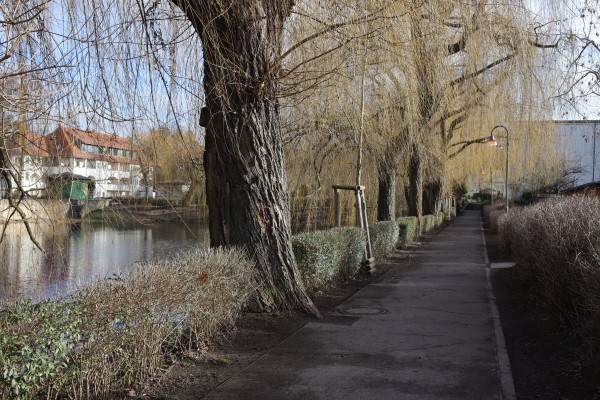 Lindenhofweiher