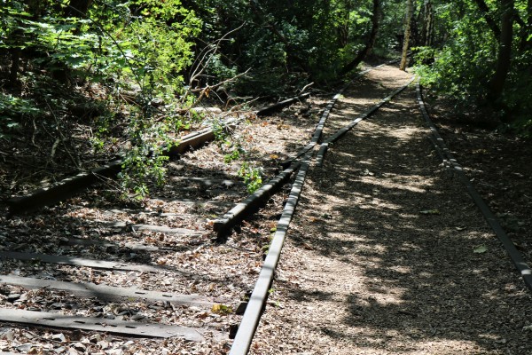 Waldweg