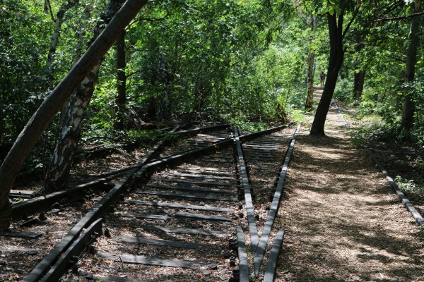 Waldweg