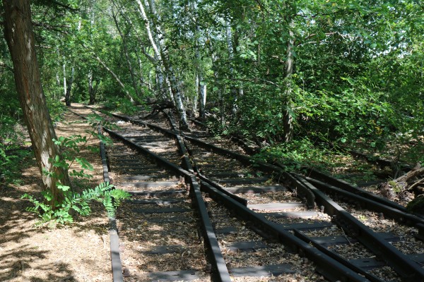 Waldweg