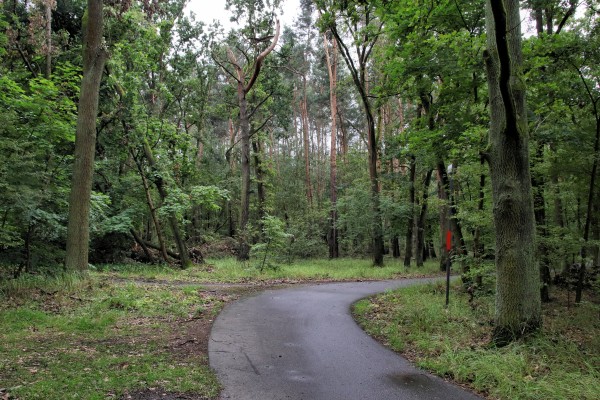 Mauerweg