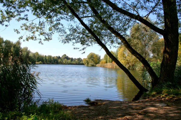 Spektelake