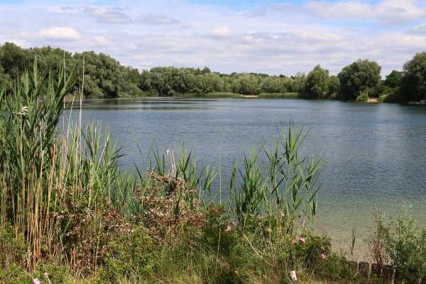 Spektelake