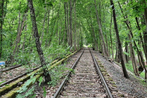 Bahndamm