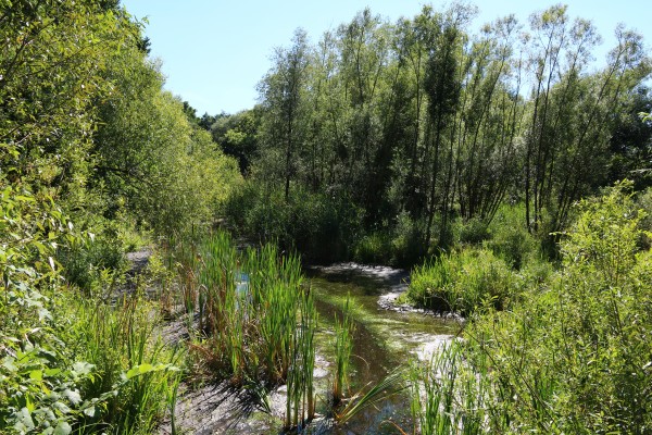 Tiefwerder Wiesen