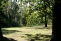 Volkspark Rehberge