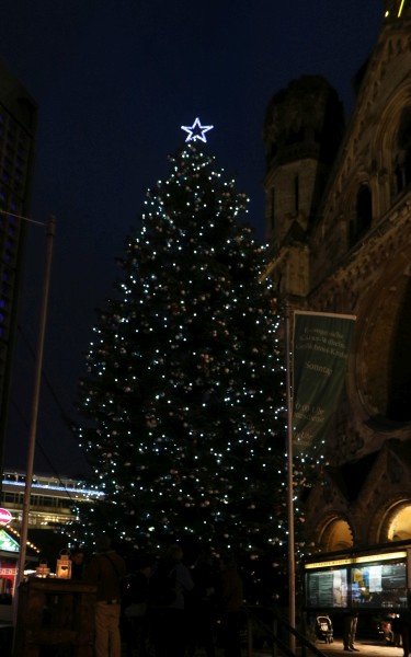 Weihnachtsbaum