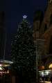 Weihnachtsbaum