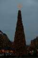 Weihnachtsbaum