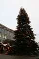 Weihnachtsbaum