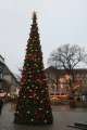 Weihnachtsbaum
