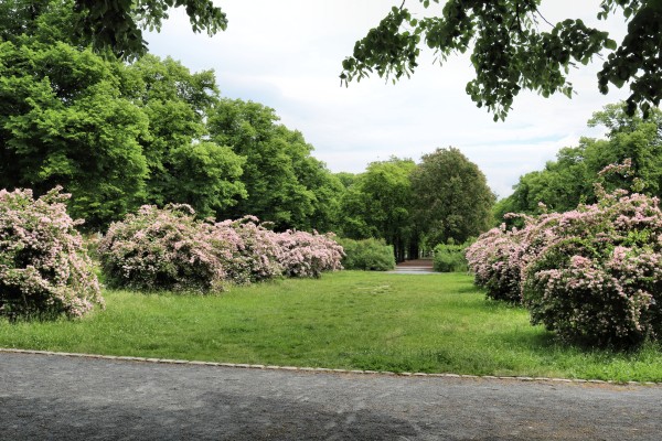 Flinsberger Platz