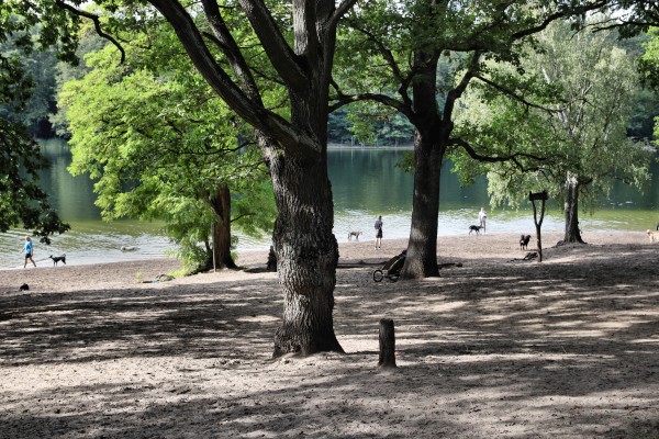 Grunewaldsee