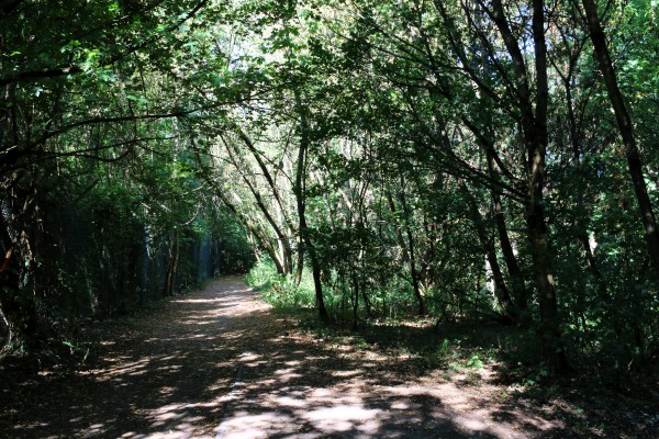 Gipfelweg Teufelsberg