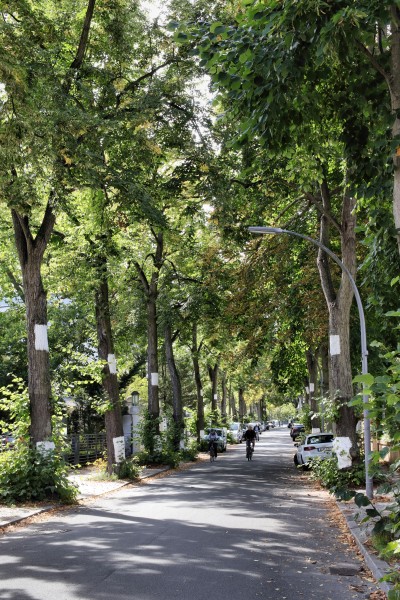 Trabener Straße