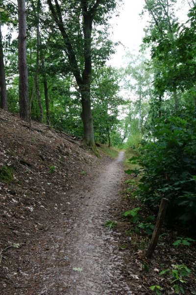 Havelhöhenweg