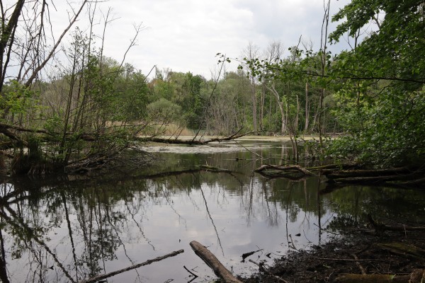 Nikolassee