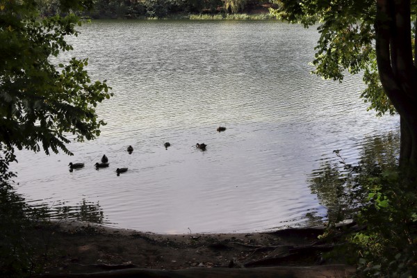 Schlachtensee