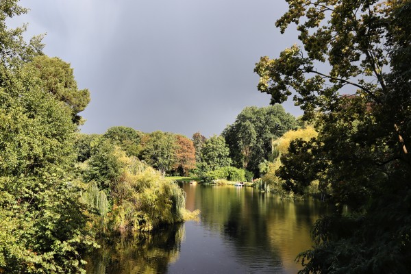 Waldsee