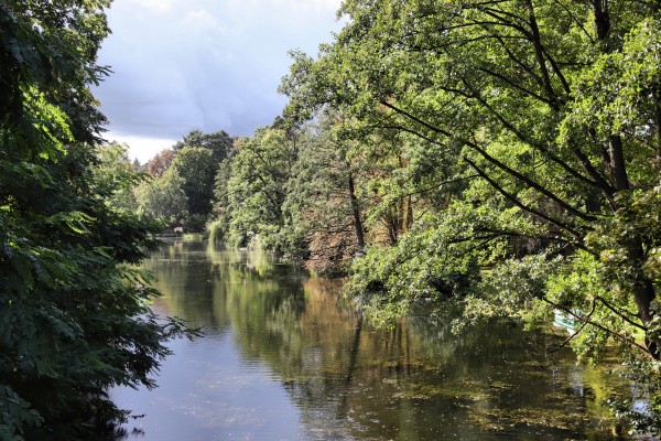 Waldsee