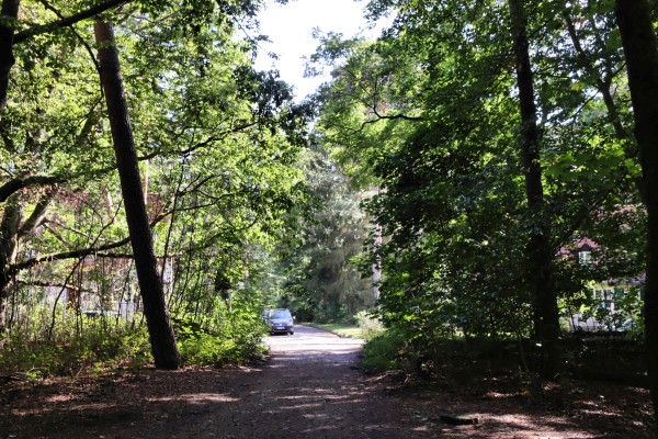 Waldweg