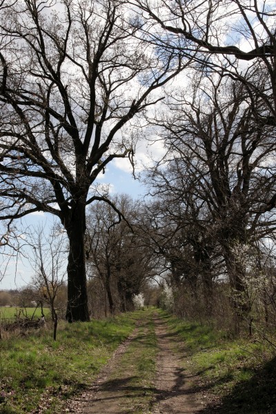Klosterfelder Weg