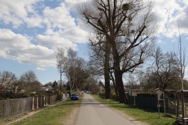 Klosterfelder Weg