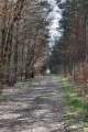 Waldweg