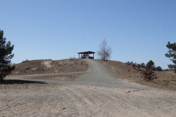 Schönower Heide