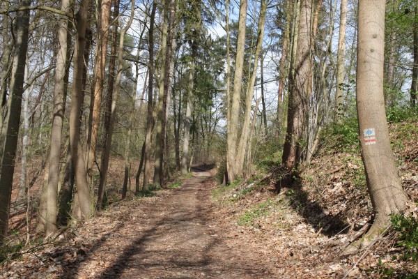 Waldweg