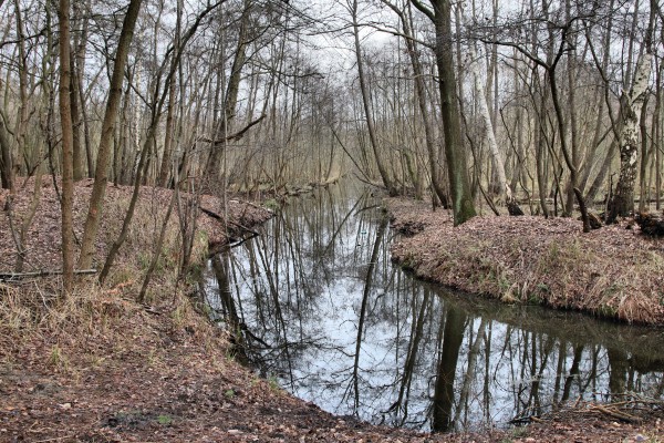 Glasowbach