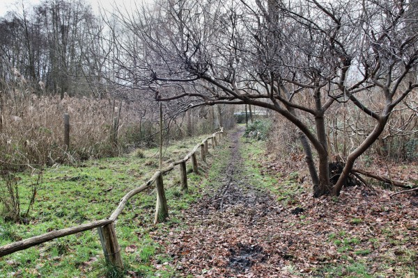 Naturlehrpfad