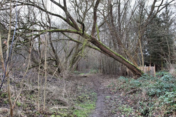 Naturlehrpfad